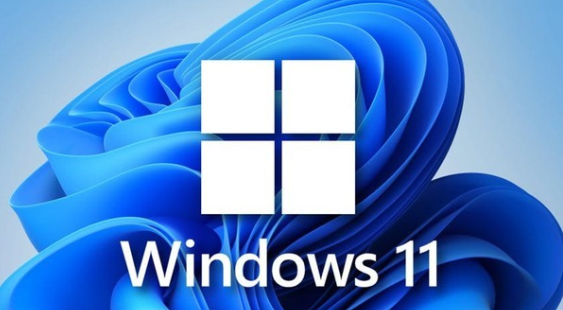 如何解决win11文件夹预览不显示的问题？解决方案列表